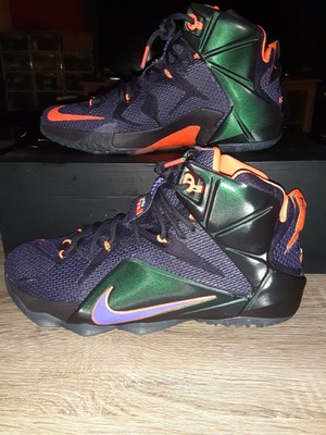 lebron 12 instinct