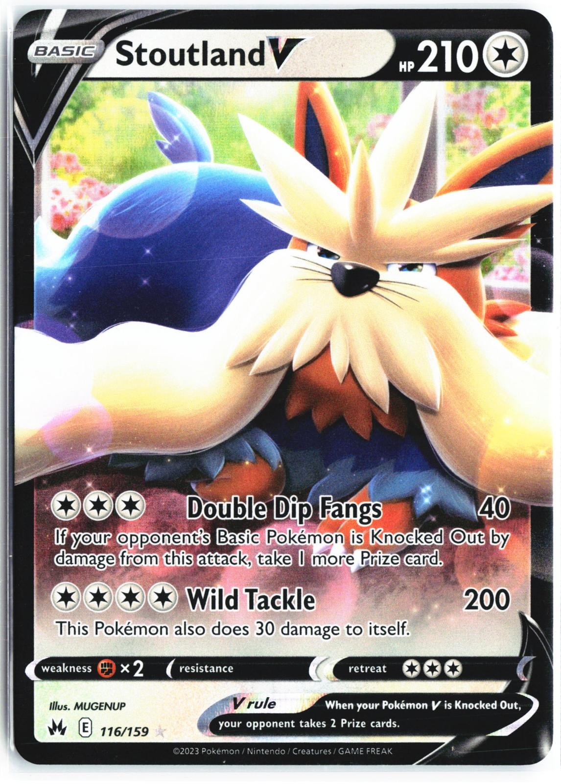 Stoutland V 116/159 Holo V Rare Crown Zenith Pokemon Near Mint