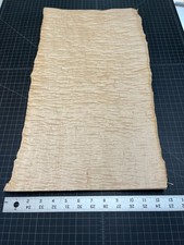 Lote #502 de chapa de madera cruda ojo de pájaro arce tigre rizado RARO 12" X 22"