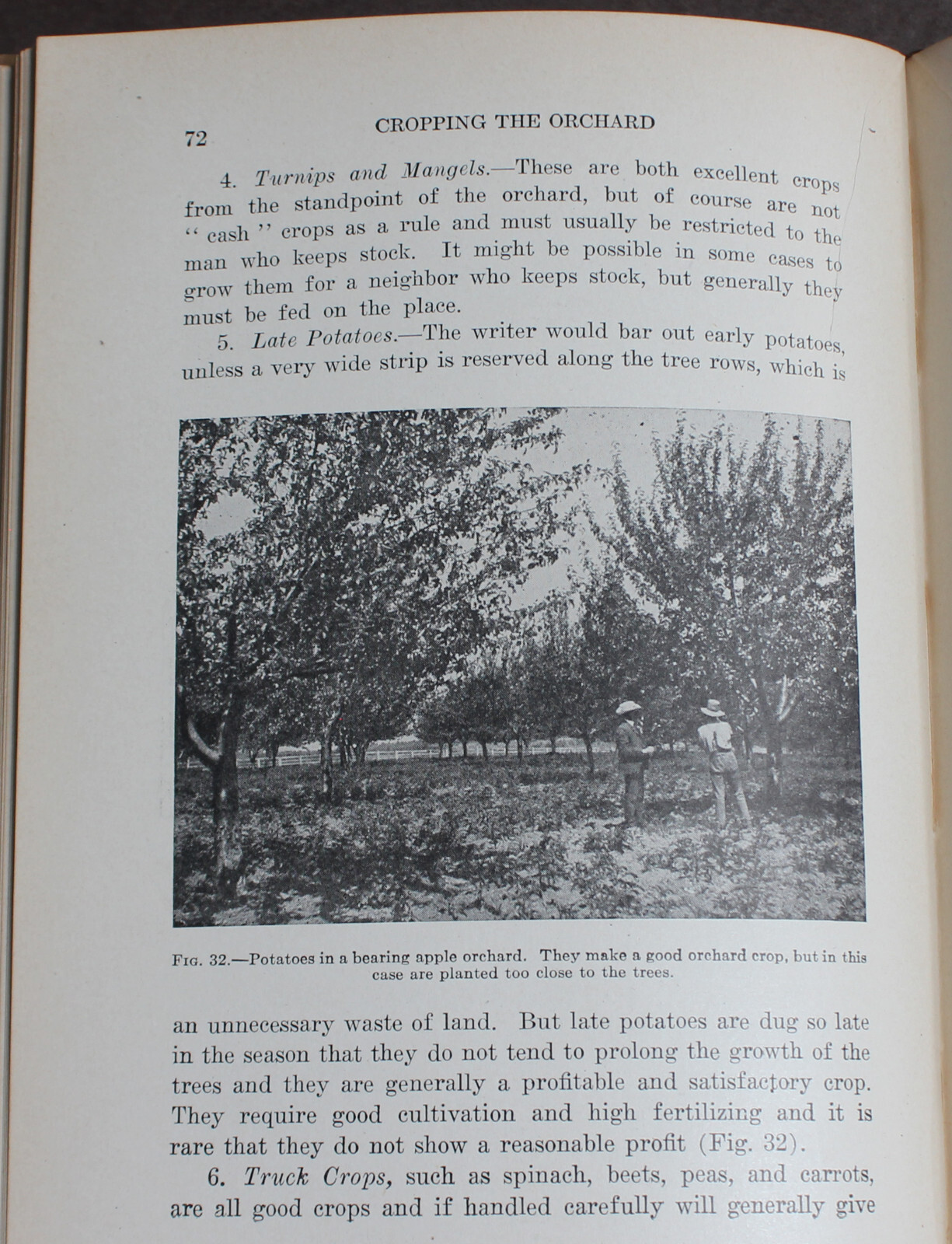 Picture 19 of 21