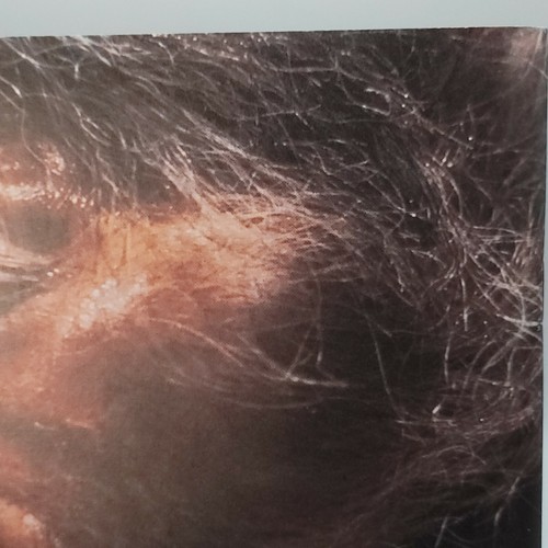 Cinefex 16 ~ Vintage - Bild 6 von 8