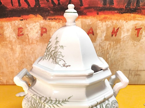 Villeroy & Boch Gallo Leonardo Fougere diseño sopera helecho de verano cuenco - Imagen 4 de 11