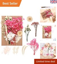 Natural Dried Flowers Set for Crafting, Scrapbooking & Home Decor - Pink/White