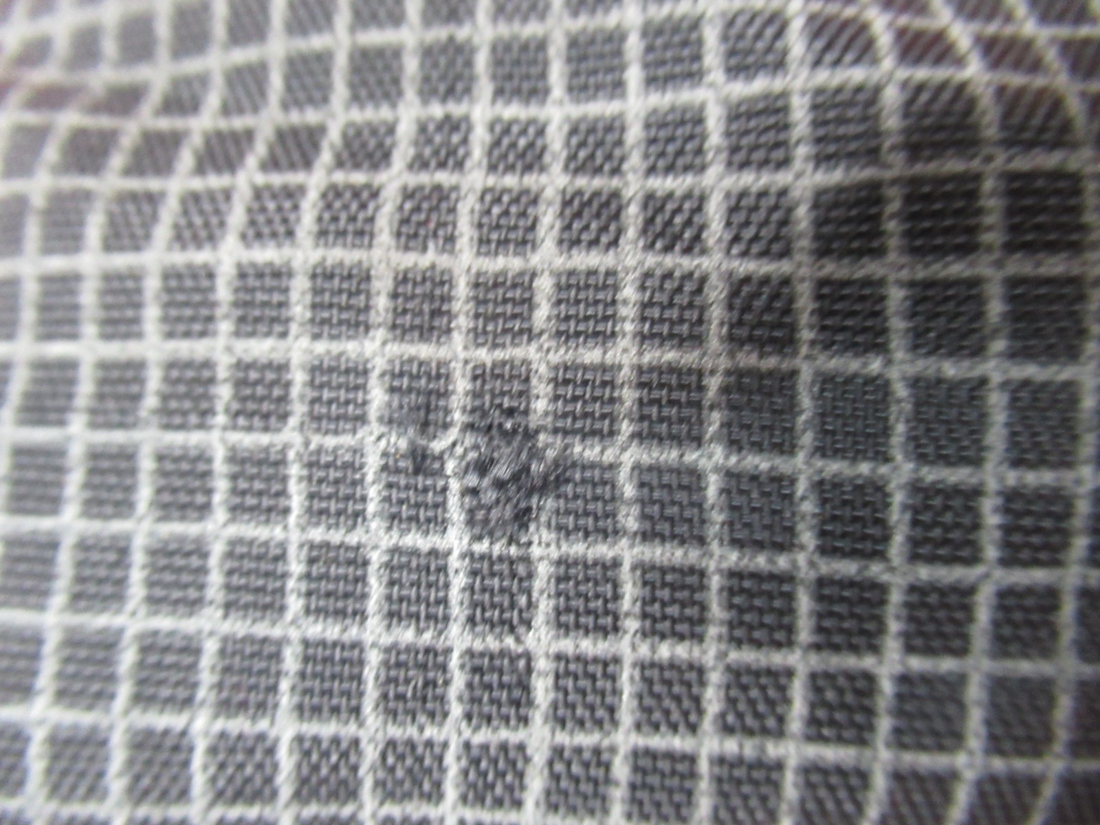 Picture 17 of 17