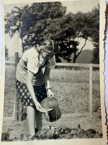 Altes Foto old Photo, Mädchen füttert Hühner Vintage Mode