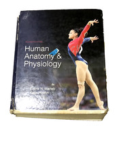 Human Anatomy and Physiology by Katja Hoehn and Elaine Marieb (2018, Hardcover)