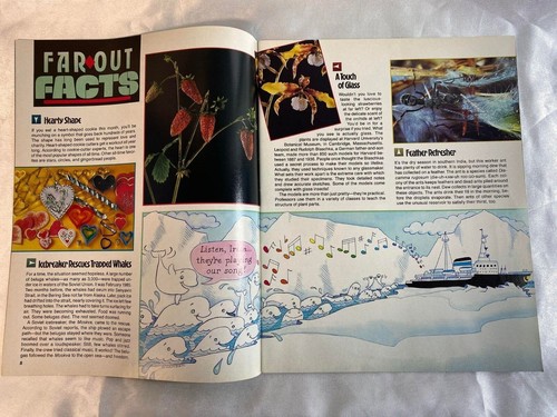 National Geographic World Magazine (For Kids) 1986 Vintage Back Issues - Picture 8 of 46