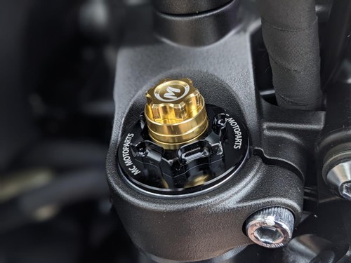 YAMAHA MT-07 2023 - LEOVINCE SYSTEM - QUICKSHIFTER - GILLES LEVERS - TAIL TIDY - Picture 15 of 20