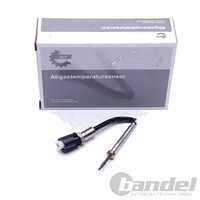 Esen SKV Abgastemperatursensor Passend FüR BMW 3 5 X3 X5 X6 | 30SKV109