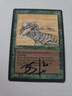Sandstorm SIGNED By Brian Snoddy  Magic The Gathering 