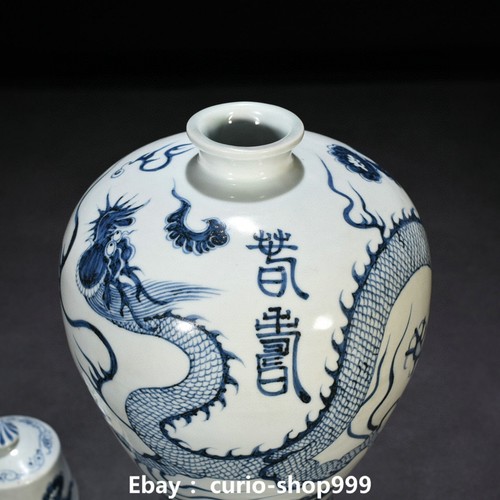 Vaso bottiglia animale 15,7" Ming Hongwu porcellana bianca blu drago bestia lunga - Foto 3 di 9