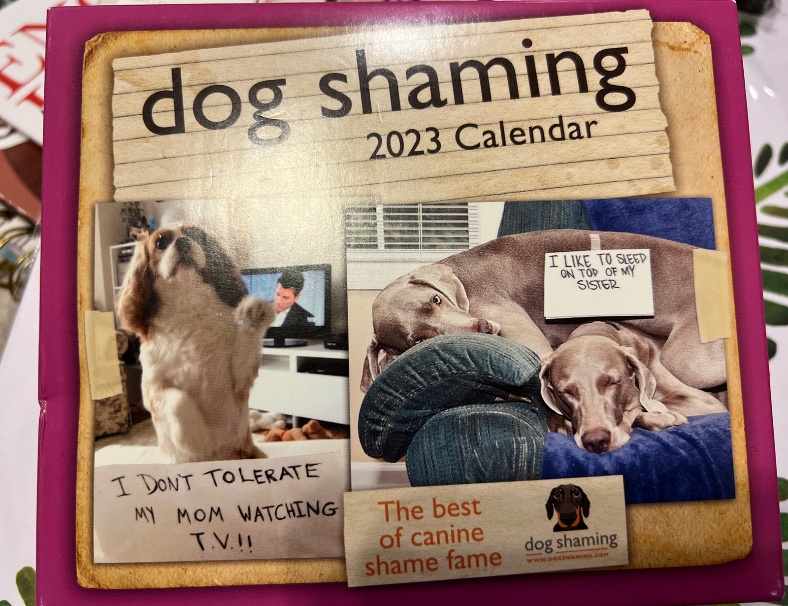 dog-shaming-2023-day-to-day-calendar-by-dogshaming-com-and-pascale-lemire-2022-ebay