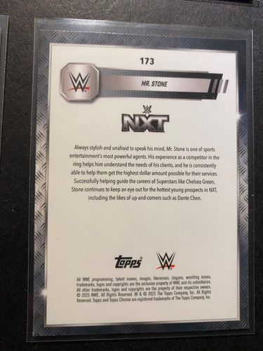 Mr. Stone - 2025 WWE Topps NXT Wrestling Card #173 - Picture 2 of 2