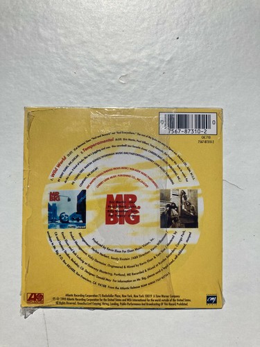 CD SINGLE MR. BIG WILD WORLD - Picture 2 of 3