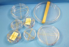 Lot of 7pcs- Petri Dish w/Lids, Lab Dish, PYREX/KIMAX, 5x50mm, 2x90mm, 1x140mm