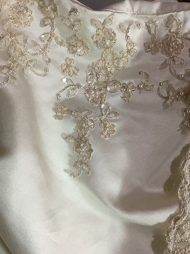 NWT David’s Bridal Ivory WEDDING DRESS W/ Train & Matching Beaded Veil Robe 26W - Picture 24 of 24