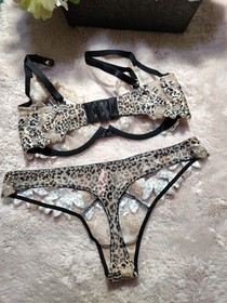 Victoria's Secret Bra And Panty Set 32DD/M