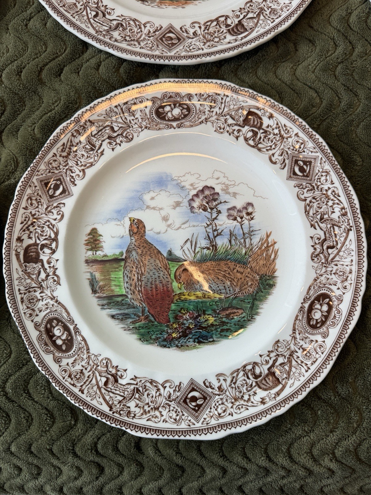 Picture 7 of 14