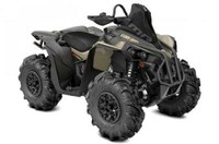 2022 Can-Am Renegade X MR 650 Other