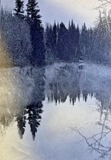 1903 On the Taquamenon River Upper Penninsula of Michigan   illustrated