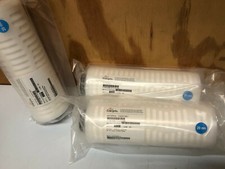 Entegris Intercept HSM 20 nm Liquid filter PS 10"