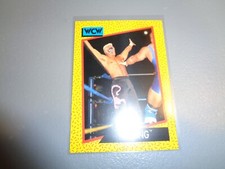 WCW WORLD CHAMPIONSHIP WRESTLING 1991 TRADING CARD # 7 STING