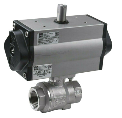 BEE AKP 87E Steuerventil DAE63.1-10F-10F-SW14-F05/F07 Kugelventil Magnetventil