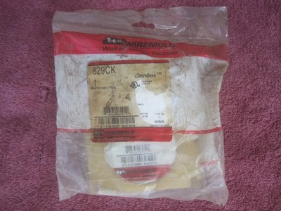 Wiremold Walker Infloor Sys 829CK brass communications cover plate new in bag