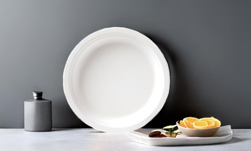 10 Zoll kompostierbare Zuckerrohr Teller, 50 Stück biologisch abbaubares Geschirr - Bild 6 von 7