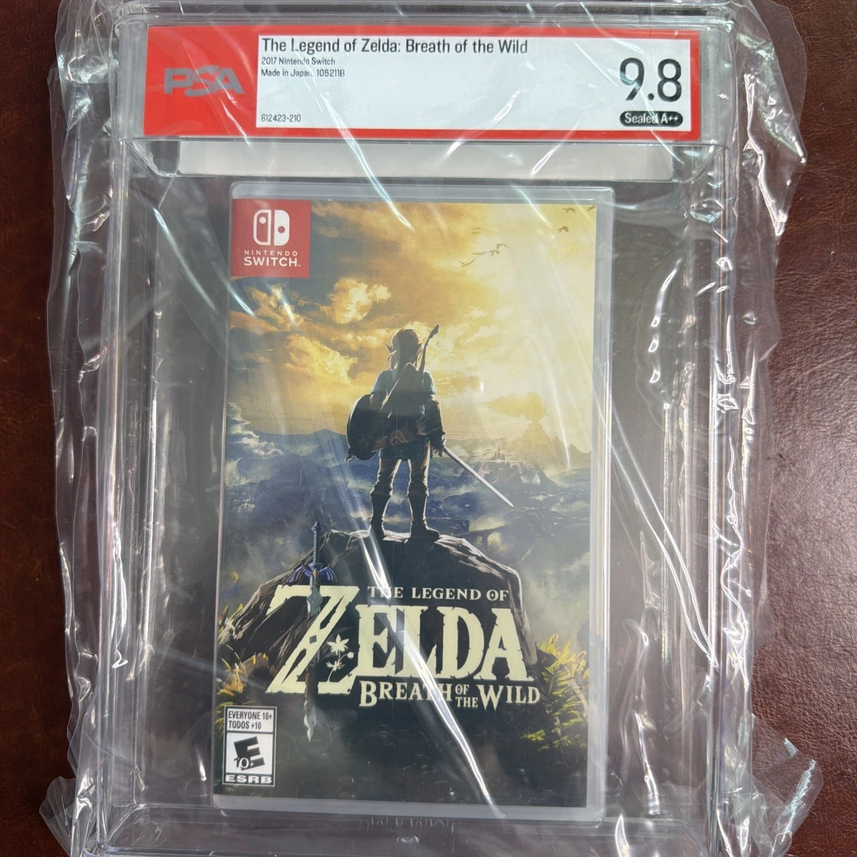 The Legend of Zelda: Breath of the Wild 2017 Release Year Video
