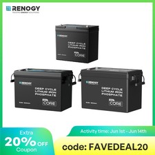 Renogy 12v 200ah 100ah 300ah Lifepo4 Lithium Battery Deep Cycle Bms For Solar Rv