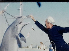 8mm 1958 Film Marineland Dolphin Show 1950s Home Movie Florida Tricks Beach Snow