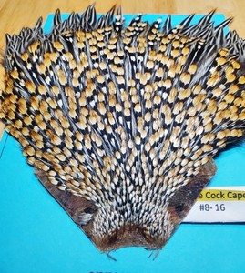 Jungle Cock Cape | eBay