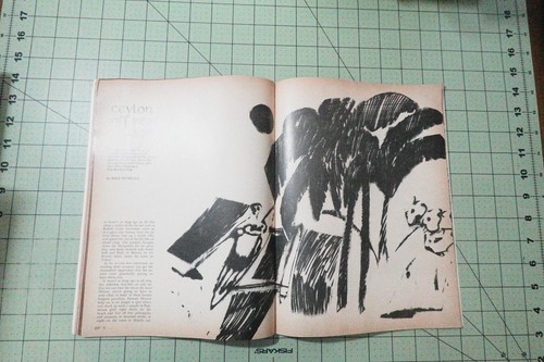 DAPPER Magazine 5/1966 FEATURES FIC BY THOMAS M. DISCH, M. REYNOLDS, L.JANIFER - Picture 4 of 5