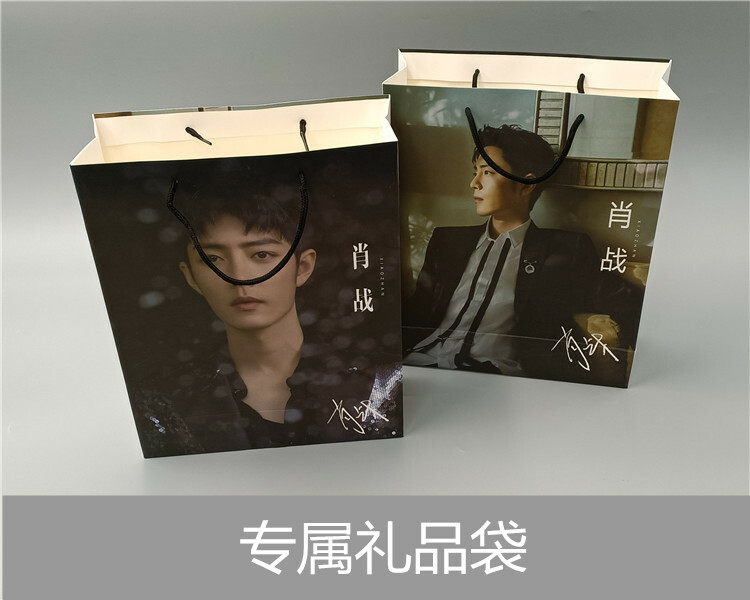 mayogeekさん　専用　肖战アルバム公式品 Chinese Star Xiao Zhan 肖战 Album Photo Lyrics Book Poster