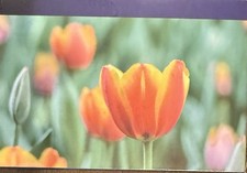 5pk LC401XL LC-401 XL Ink Cartridges for Brother MFC-J1010DW MFC-J1012DW J1170DW