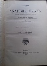 Anatomia Umana. Libro settimo: Organi sei Sensi. Libro ottavo: Respirazione e Fo