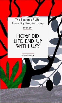How Did Life End Up With Us? by S. S. O'Connor (Paperback Book)