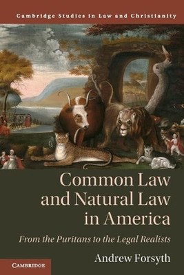 Andrew Forsyth Common Law and Natural Law in America (Taschenbuch)