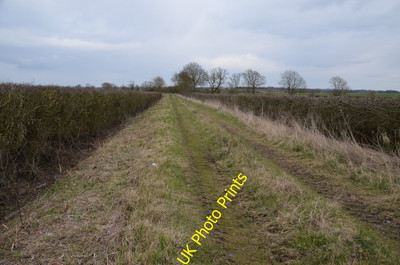 Foto 6x4 Bauernhof Spur Aisby\/SK8792 Neueste Traktorspuren sind sichtbar. c2016
