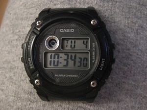 casio 216