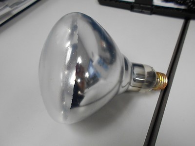 Philips BR40 Heat Lamp Bulb - 250W Infrared Heat Light For Bathrooms & Indoor Use