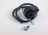 ZüNdspule Elektronik FüR Tecumseh FüR Motor Lav Bv Bvl Bvs