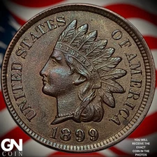 1899 Indian Head Cent Penny Z3040