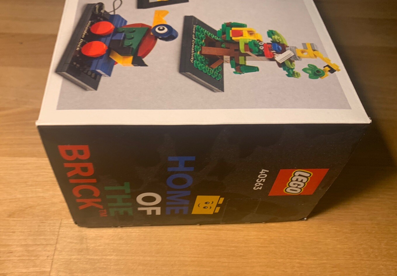 Foto 5 di 8