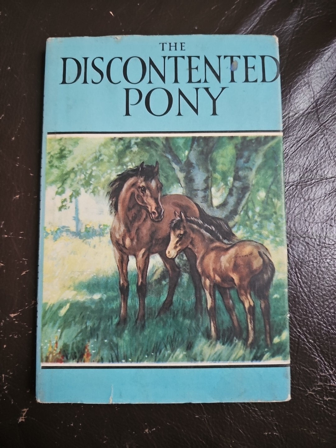 LADYBIRD BOOK THE DISCONTENTED PONY EARLY EDITION 1953 SERIES 497 DUST JACKET K4