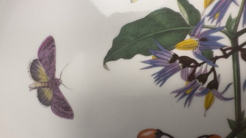 Portmeirion Botanic Garden Solanum Dulcamara Woody Nightshade Steak Plate - Picture 6 of 10