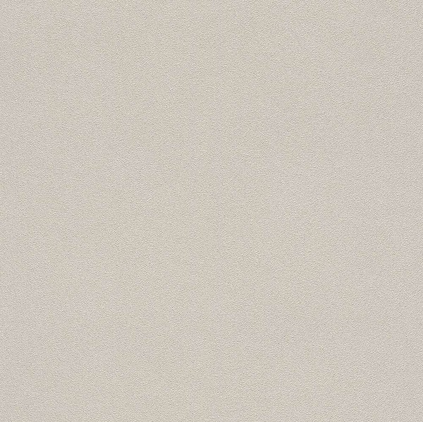 Tapete Vlies Beton-Optik Creme-Beige Rasch Indian Summer 479430 (3,49€/1Qm)-image