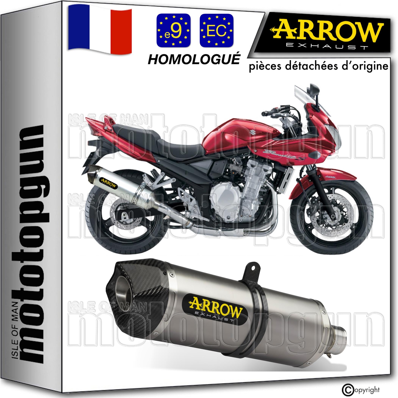 Échappement de prestige Arrow Race-Tech en carbone pour Suzuki GSF 650 2012