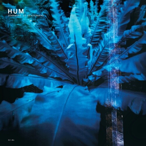 Hum : Downward Is Heavenward VINYL 12" Album 2 discs (2023) ***NEW*** - Picture 1 of 1